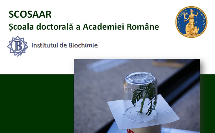 A doua conferință a studenților doctoranzi din Institutul de Biochimie al Academiei Române