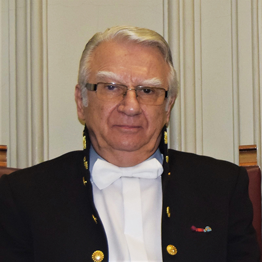 Academician Victor Voicu